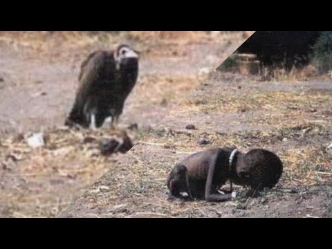 Sęp nad głodną dziewczynką - historia jednego zdjęcia