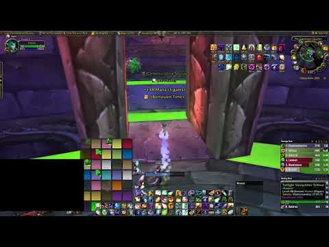 WoW Classic Wrath of the Lich King Naxx 25 Disc Priest POV