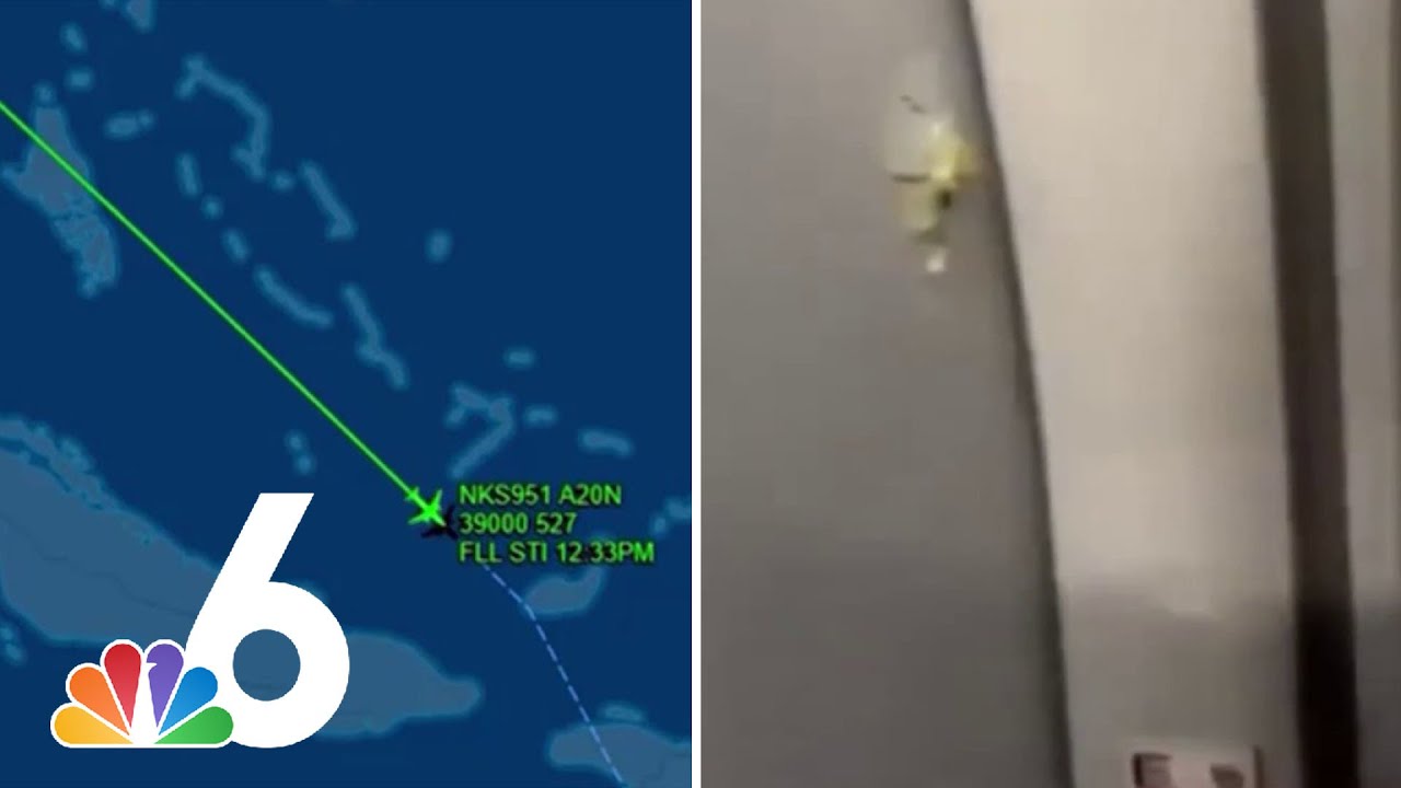 Haiti-bound flight from FLL struck by gunfire, injuring flight attendant