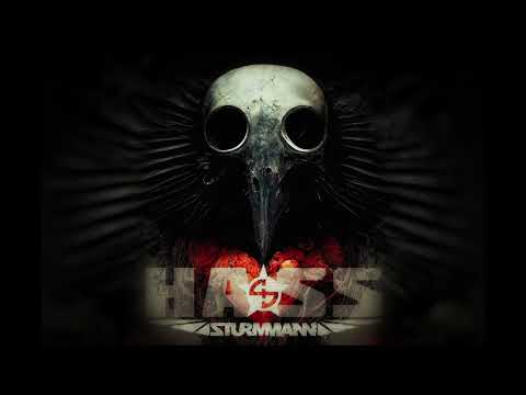 Sturmmann - Hass (Single 2023)