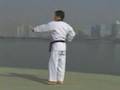 1. Taekwondo Poomsae Taegeuk Il Jang (WTF)