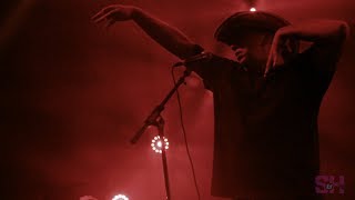 Ween - Zoloft (LIVE at Music Tastes Good)