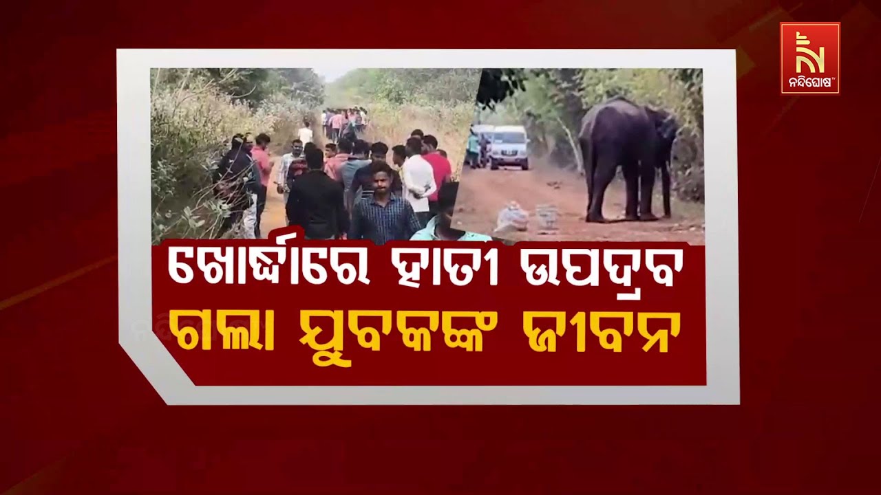 🔴 Live | ଖୋର୍ଦ୍ଧାରେ ହାତୀ ଉପଦ୍ରବ :ଗଲା ଯୁବକଙ୍କ ଜୀବନ