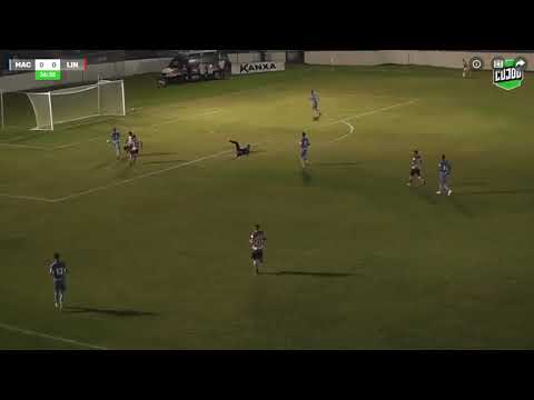 MARILIA 0X1 LINENSE 1ª RODADA SÉRIE A3 2020 INCRÍVEL FALHA DA ZAGA