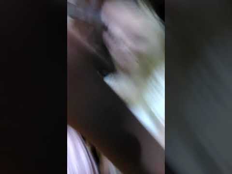 The homecoming dance