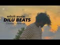 DILU Beats Song Collection Slowed Reverb Playlist