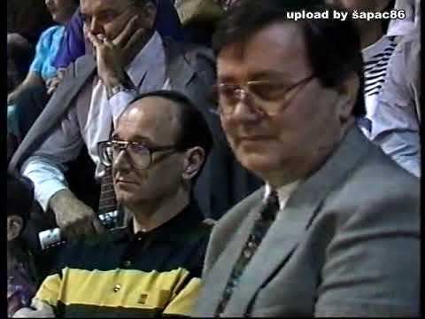 Zagreb-Wallau 1993. finale Kupa prvaka