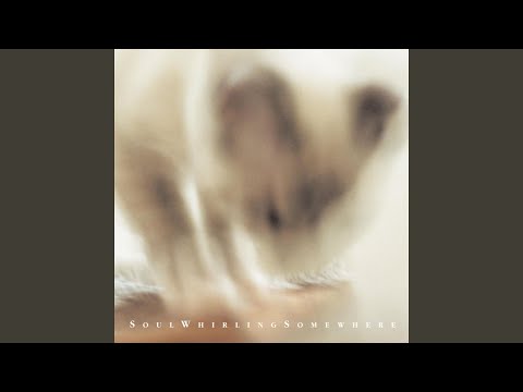 Video thumbnail for Piece of Wick Alight in a Pine