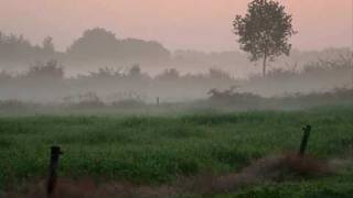 Boudewijn de Groot - Avond (High Quality)