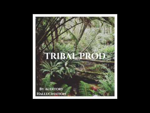 TRIBAL PROD 1 - Auditory Hallucination (TRIBAL HOUSE)