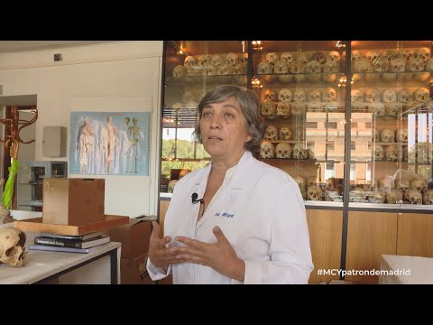 Miniatura del video