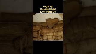 Download lagu 여자들이 힘이 장사임... #실화 #기막힌 #해적 #절도 #범죄 #사건의도서관 #사건 mp3