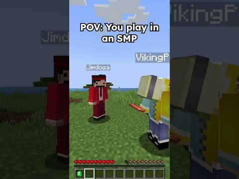 Insane Minecraft SMP experience! - JoelZee POV