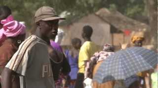 Food loss reduction in The Gambia