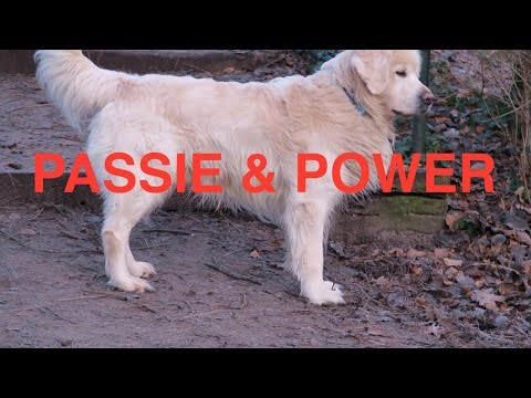 PASSIE, POWER, LEVENSLUST. DIRK VAN DER LAAN NB-WANDELVLOG