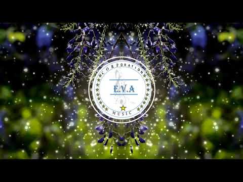 WildVibes vs WildHearts x WINARTA Feat