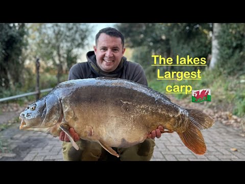 I got DETAINED by POLICE then caught the LAKES largest fish…… Urban carp fishing 🏴󠁧󠁢󠁷󠁬󠁳󠁿 