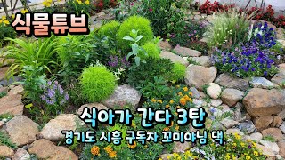 [식아가 간다~] 3탄 랜선으로 경기도 시흥에 구독자 꼬미야님댁 꽃밭 함께 보러가시죠~~  ^^  #식물튜브…
