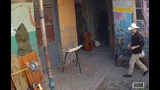 Rosa amarilla  Philip Claypool