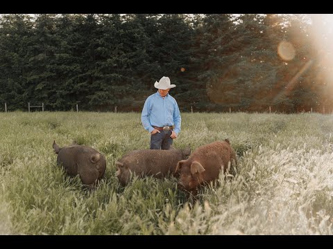 Nourished With Nature Farm: Unboxing half hog