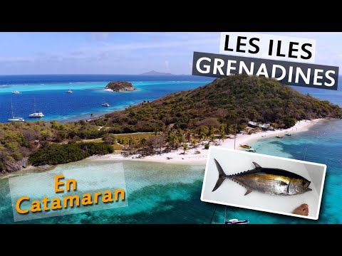 CROISIÈRE en CATAMARAN dans les ILES GRENADINES | TRAJET, PÊCHE à la TRAINE et VISITE | PARTIE 1/2