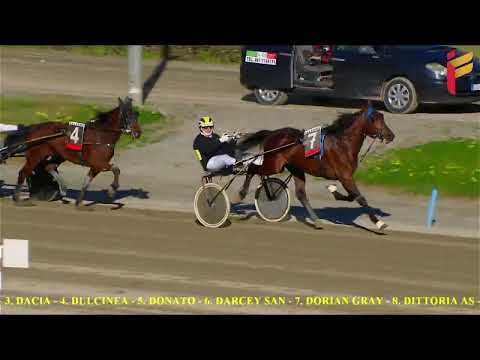 II Corsa del 14 Gennaio 2022 - 3 Anni - Metri 1600