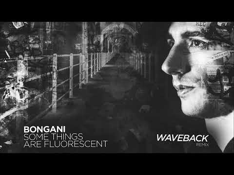 Bongani - Some Things Are Fluorescent (Waveback Remix)
