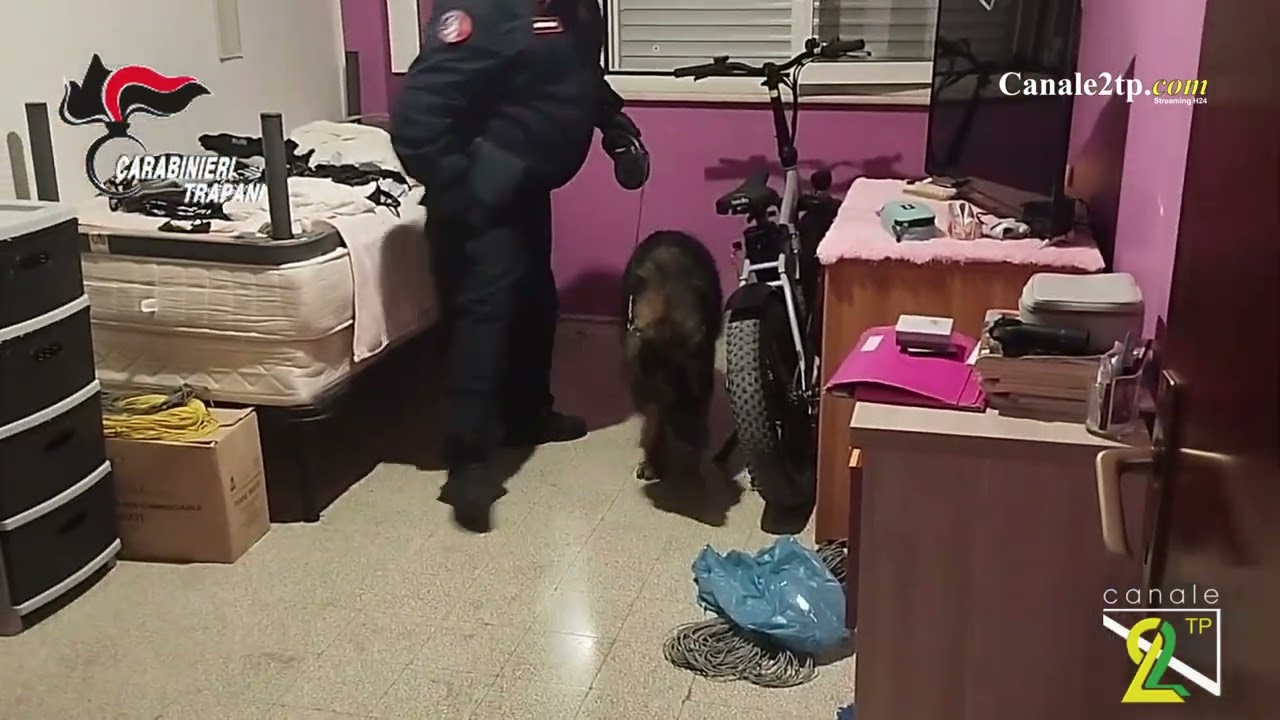 MARSALA: ASSOCIAZIONE FINALIZZATA AL TRAFFICO ILLECITO DI SOSTANZE STUPEFACENTI. 6 ARRESTI DEI CARABINIERI