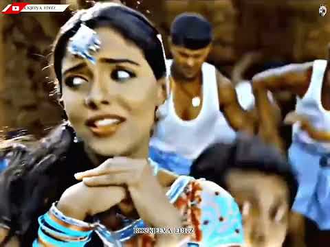 ✨vacchukka vacchukka song ♥