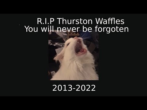Thurston Waffles Is Dead