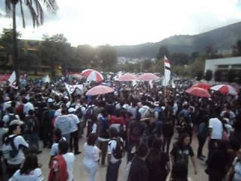 "Señor yo soy hincha de Liga" Barra: Muerte Blanca &bull; Club: LDU