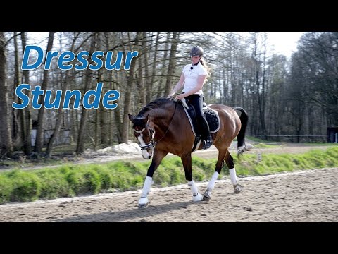 Mitteltrab lernen Trabverstärkungen reiten - Vicky & Sito üben für die Dressur