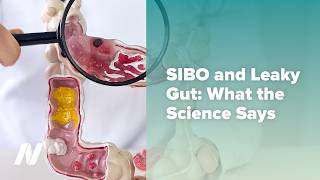 SIBO and Leaky Gut: What the Science Says (webinar recording)