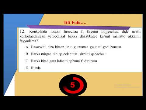 Qormaata leenjii konkolaachisummaa kompitara (daree) marsaa lammaffa