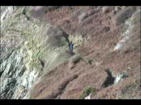 Coming home to Ireland