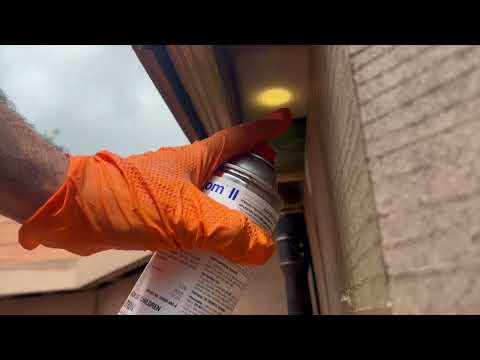 Carpenter Bees Causing Damage to New Deck in Franklin Park, NJ