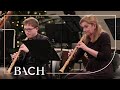 Bach - Jesus bleibet meine Freude from Cantata BWV 147 | Netherlands Bach Society