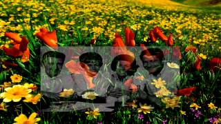 Anita Kerr Singers - April Come She Will