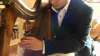 Keisuke Teramoto - Clarsach - Wire Strung Harp 1