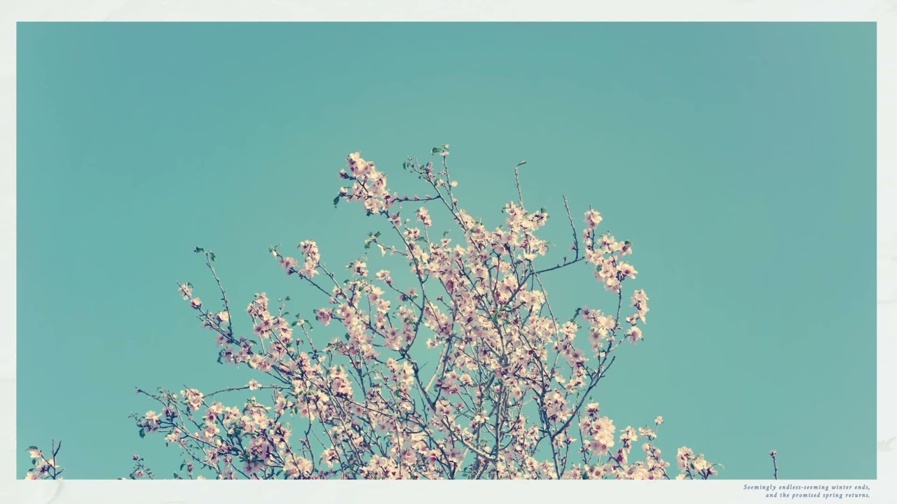 Tsunenori - Flower is Returning (2026)