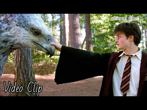 Harry Potter meets buckbeak \ Harry Potter and the Prisoner of the Azkaban
