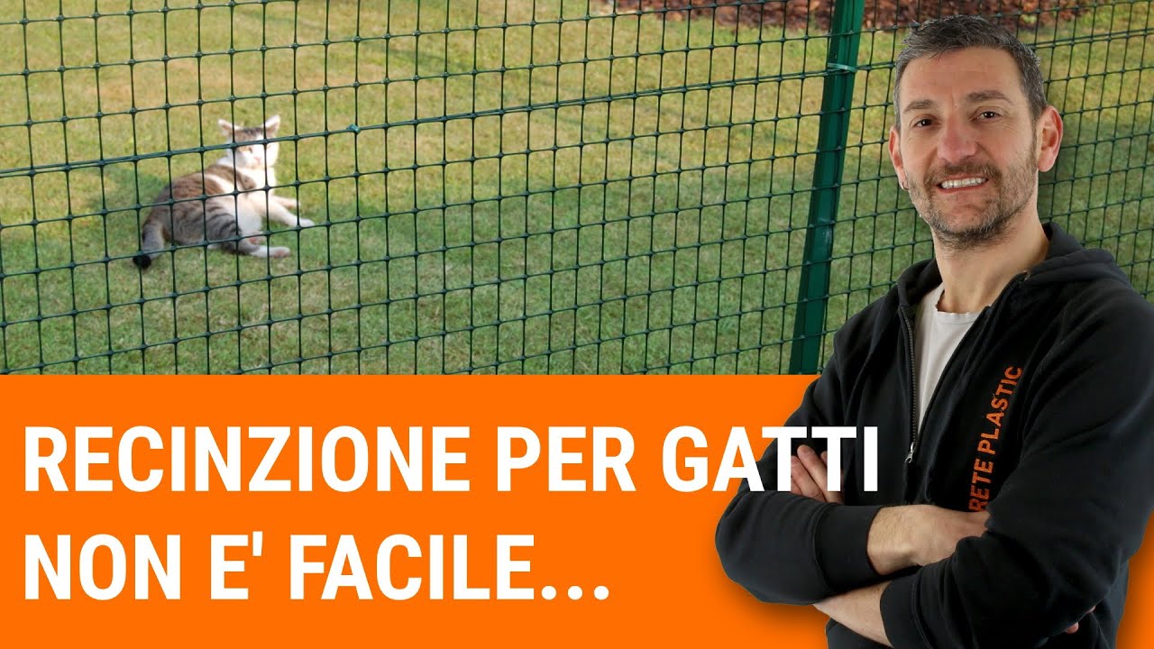 Recinzione per i gatti: Non è così facile come sembra…
