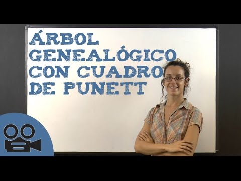 download lagu mp3 mp4 Arbol Genealogico De Las Ciencias Naturales, download lagu Arbol Genealogico De Las Ciencias Naturales gratis, unduh video klip Arbol Genealogico De Las Ciencias Naturales
