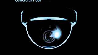 Thievery Corporation - Culture Of Fear
