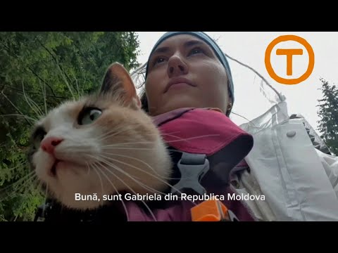 Why am I walking 1400 km with a tent on ViaTransilvanica? Soon/ Curând.