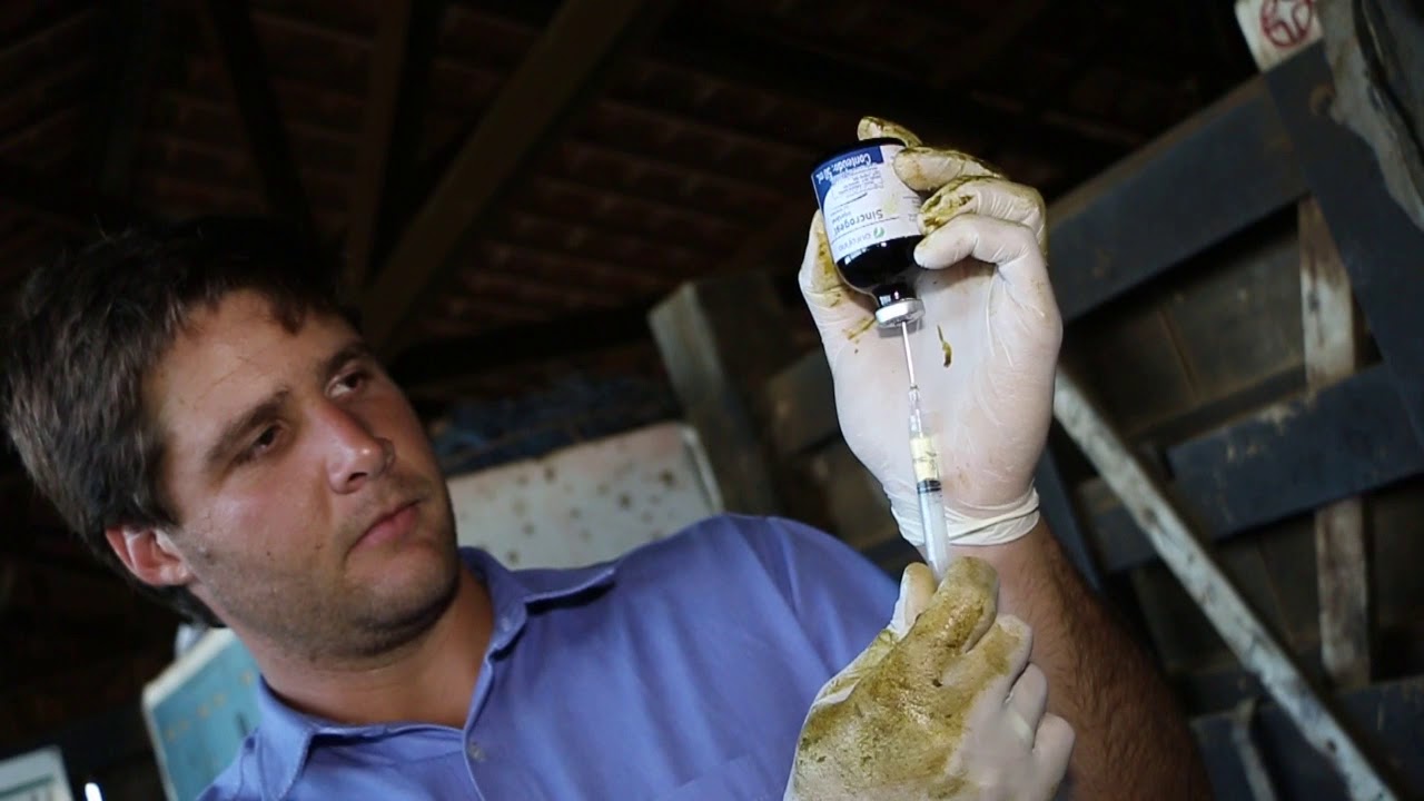 Indução de Puberdade