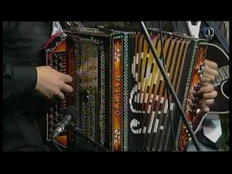 Ansambel Gadi - Divja kri