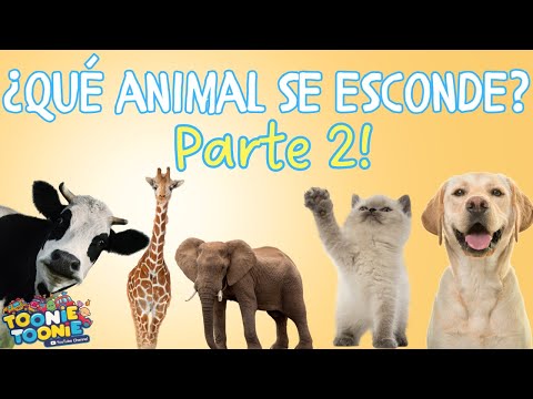 ¿Qué animal se esconde? Parte 2 | Videos educativos para niños