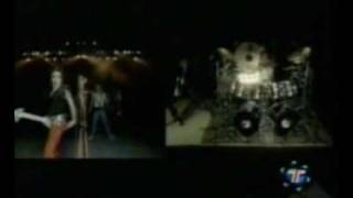 Moderatto --- Ganador