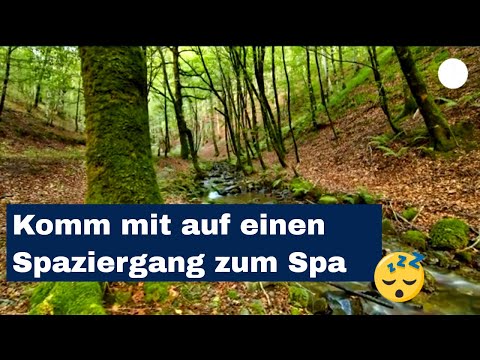 Entspannungsmusik | Spa und Massage im Wald | Traumreise